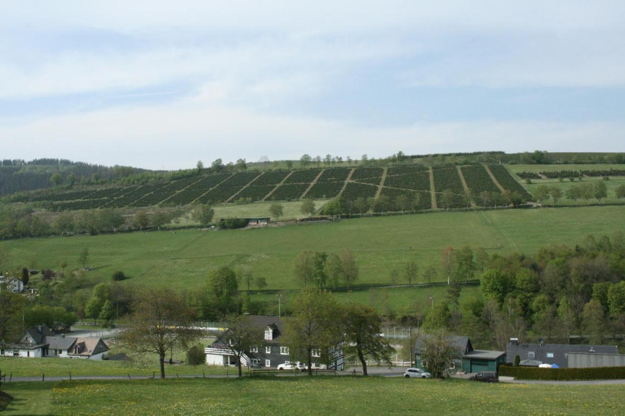 Ferienhaus Zur Ennest Schmallenberg Extérieur photo